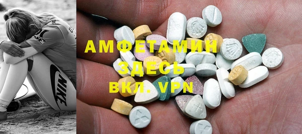 прущие грибы Алзамай