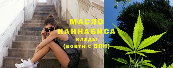 прущие грибы Алзамай