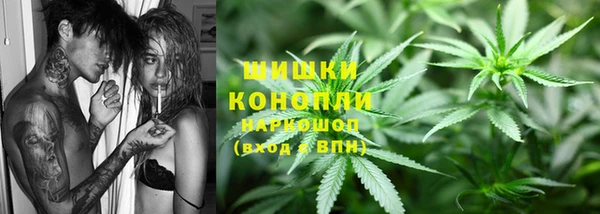 прущие грибы Алзамай