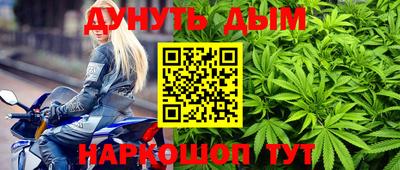 гидра Тара